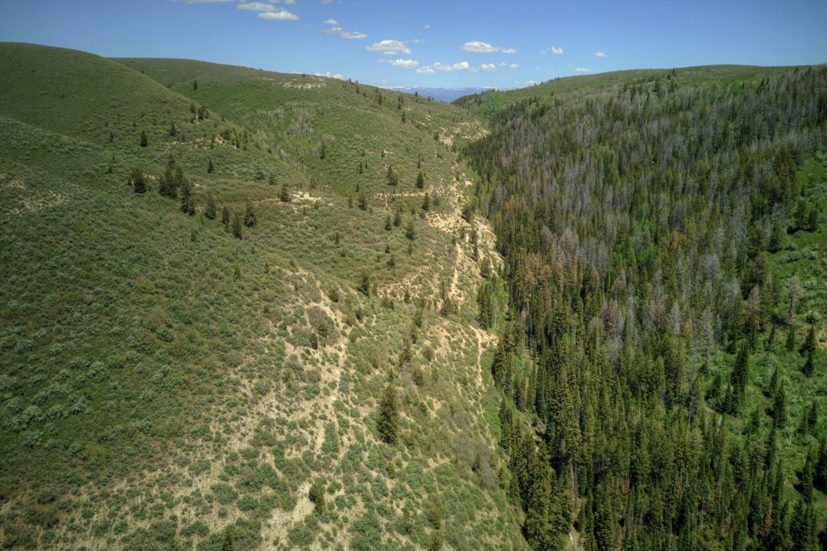Cow Creek Ranch in Rifle, Colorado - photo 4