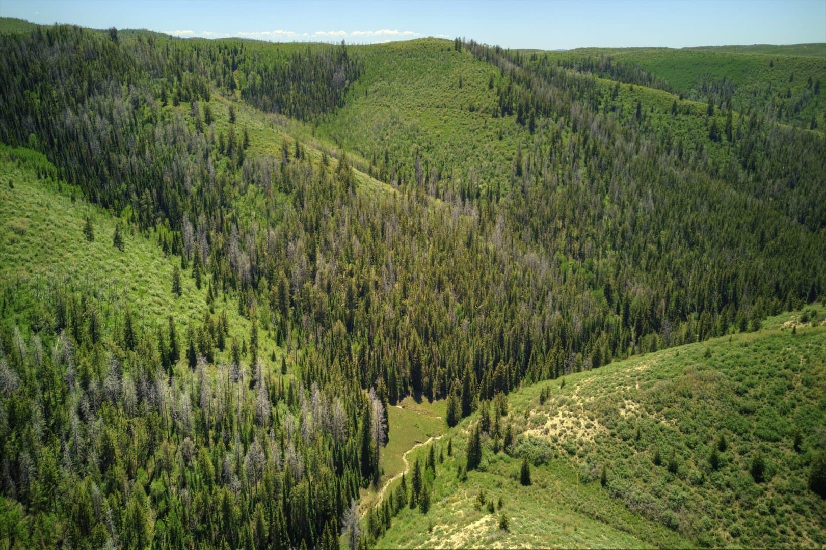 Cow Creek Ranch in Rifle, Colorado - photo 5