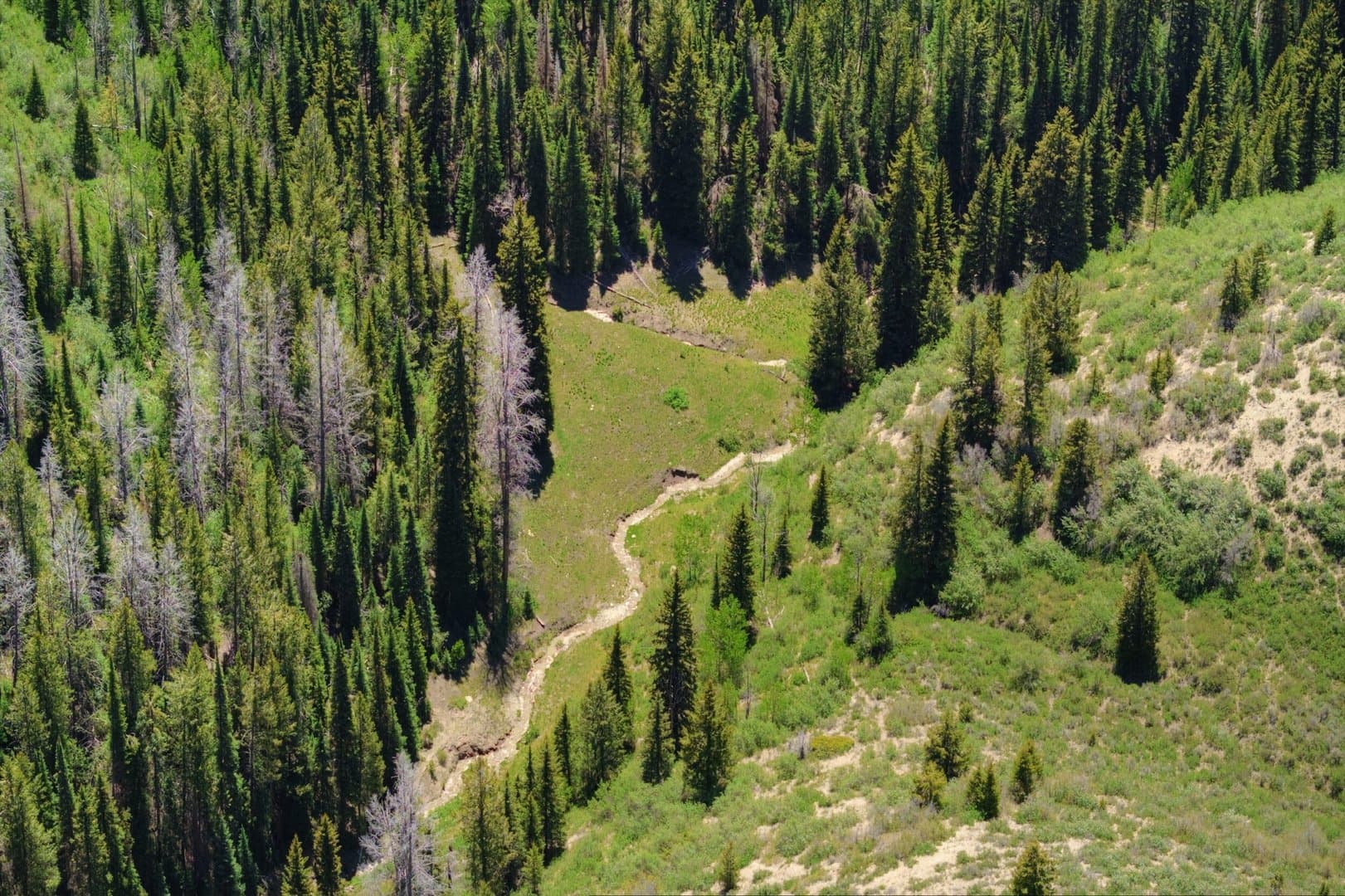 Cow Creek Ranch in Rifle, Colorado - photo 6