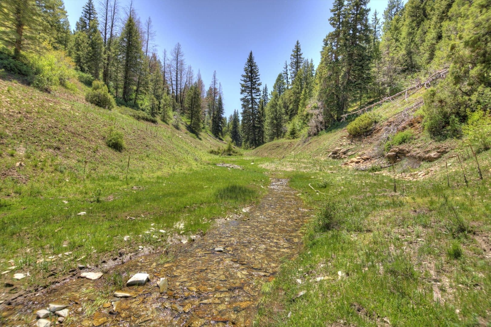 Cow Creek Ranch in Rifle, Colorado - photo 8