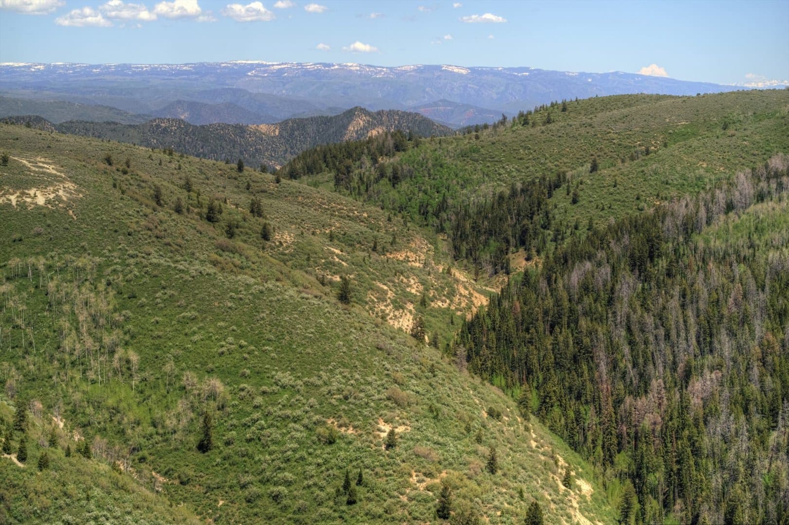 Cow Creek Ranch in Rifle, Colorado - photo 9