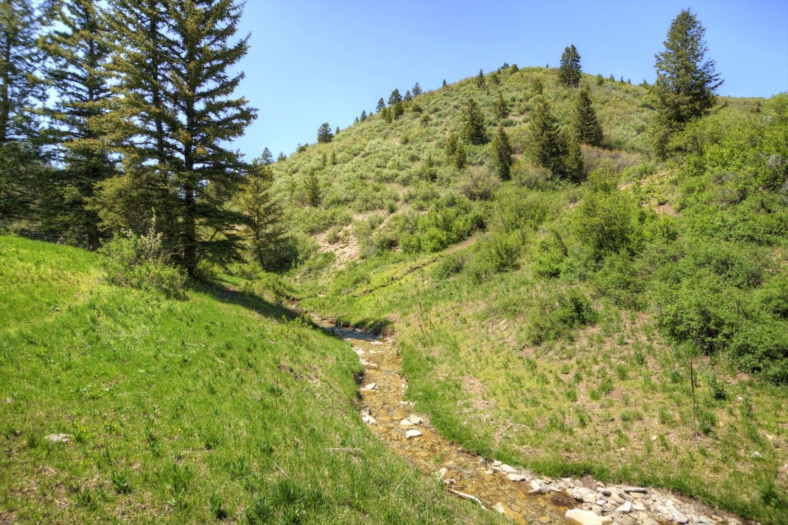 Cow Creek Ranch in Rifle, Colorado - photo 10