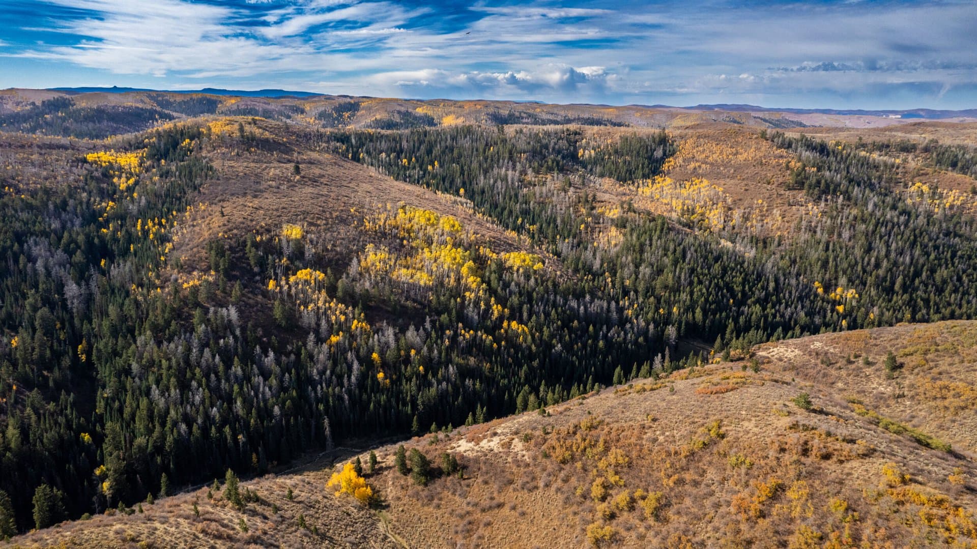 Cow Creek Ranch in Rifle, Colorado - photo 11