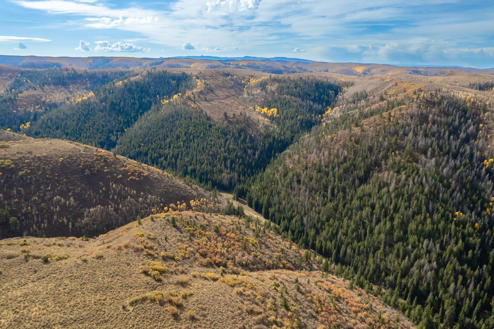 Cow Creek Ranch in Rifle, Colorado - photo 12