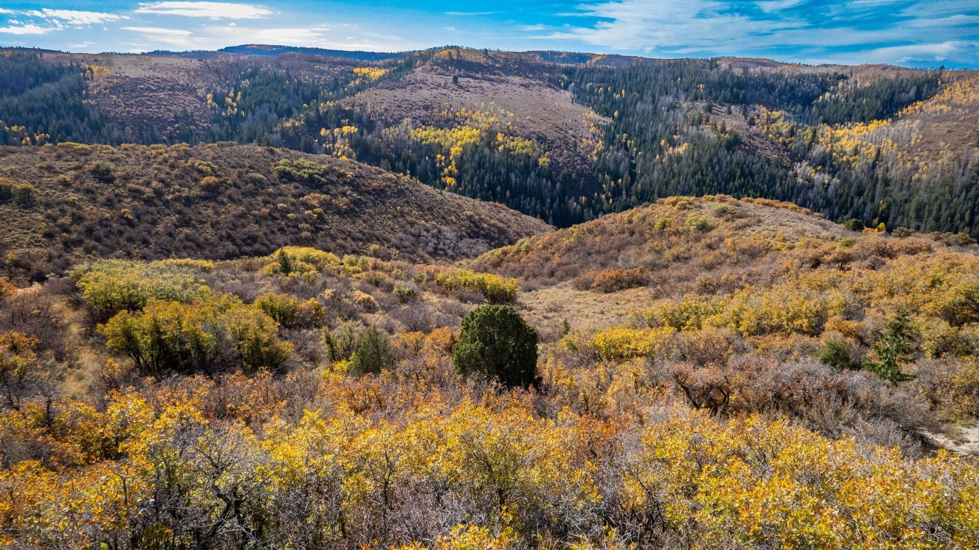 Cow Creek Ranch in Rifle, Colorado - photo 13