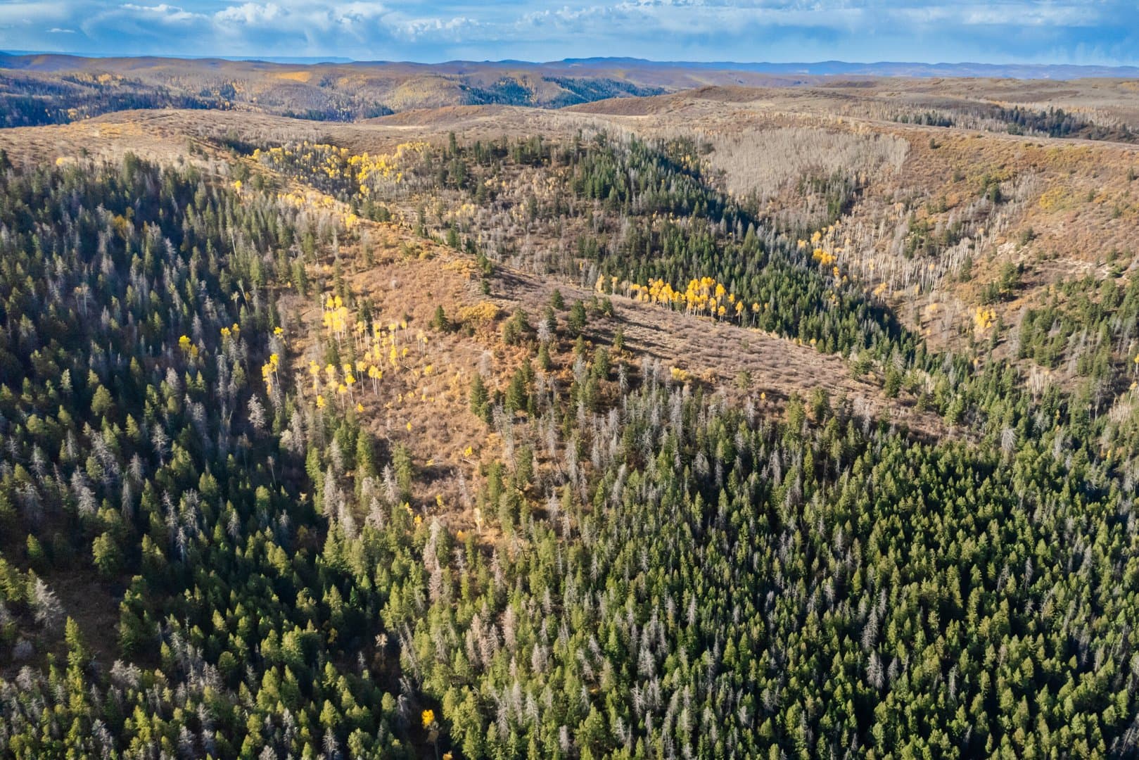 Cow Creek Ranch in Rifle, Colorado - photo 14