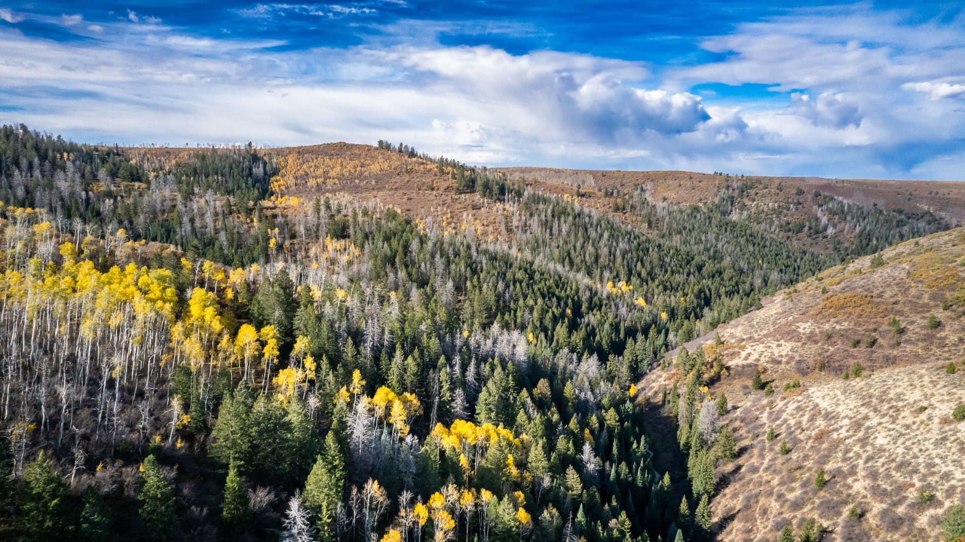 Cow Creek Ranch in Rifle, Colorado - photo 15