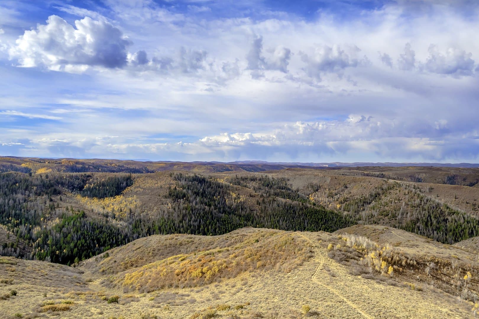Cow Creek Ranch in Rifle, Colorado - photo 16