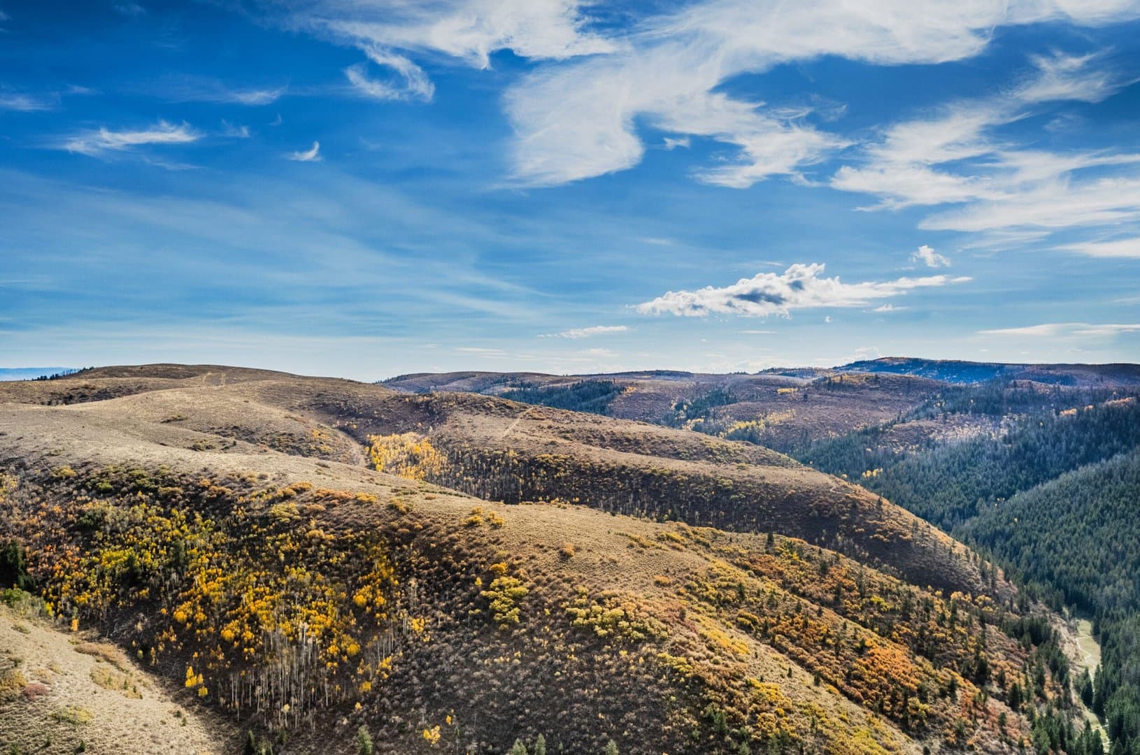 Cow Creek Ranch in Rifle, Colorado - photo 17