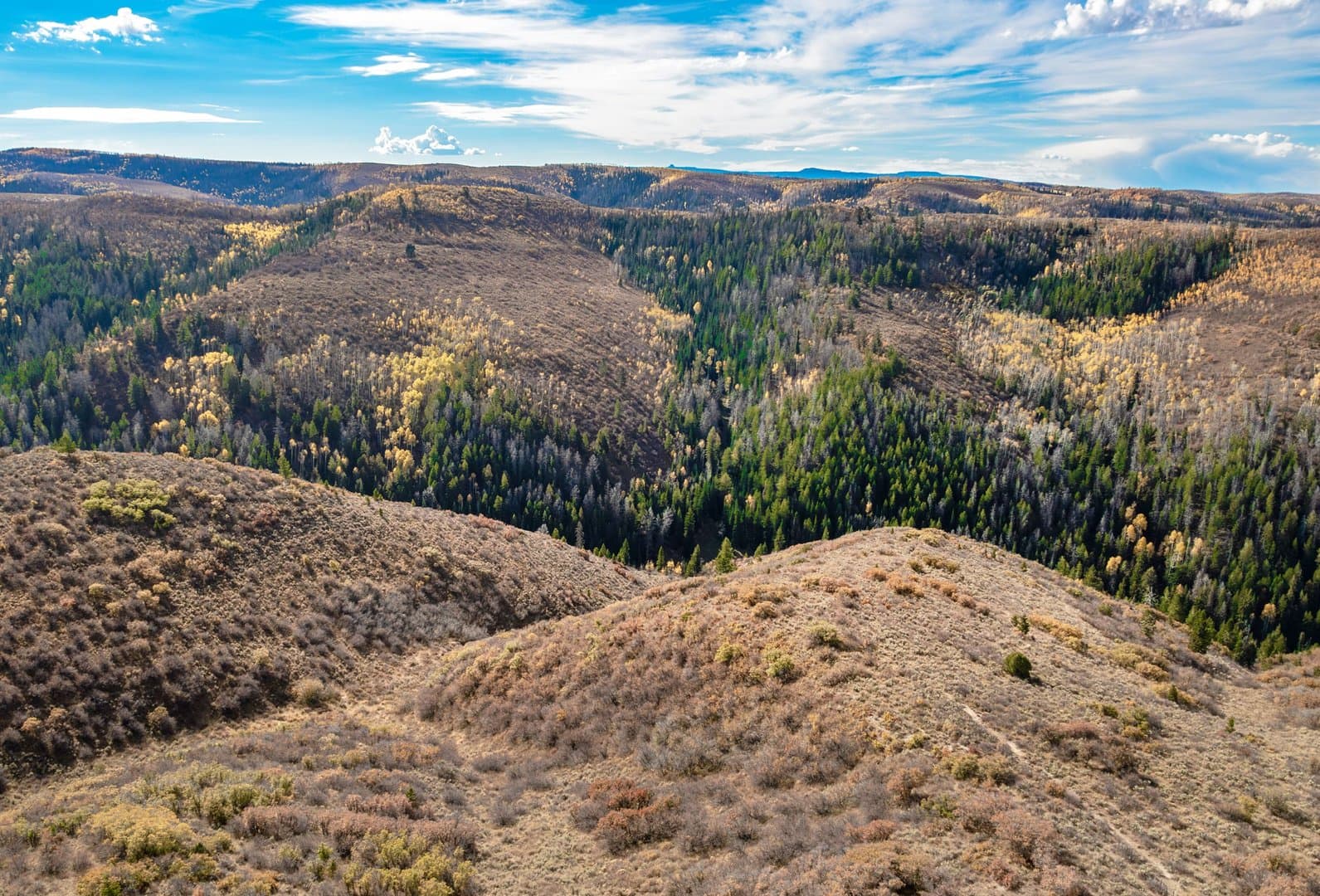 Cow Creek Ranch in Rifle, Colorado - photo 18