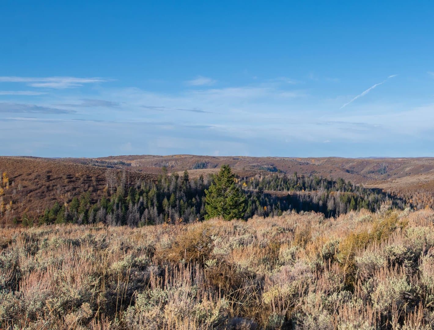 Cow Creek Ranch in Rifle, Colorado - photo 19