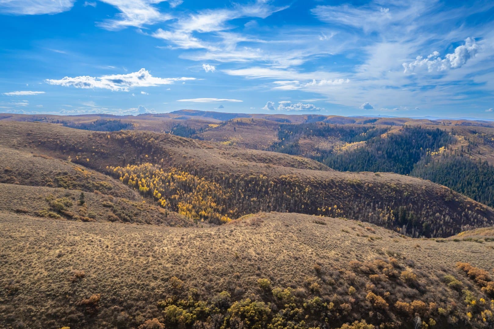 Cow Creek Ranch in Rifle, Colorado - photo 20