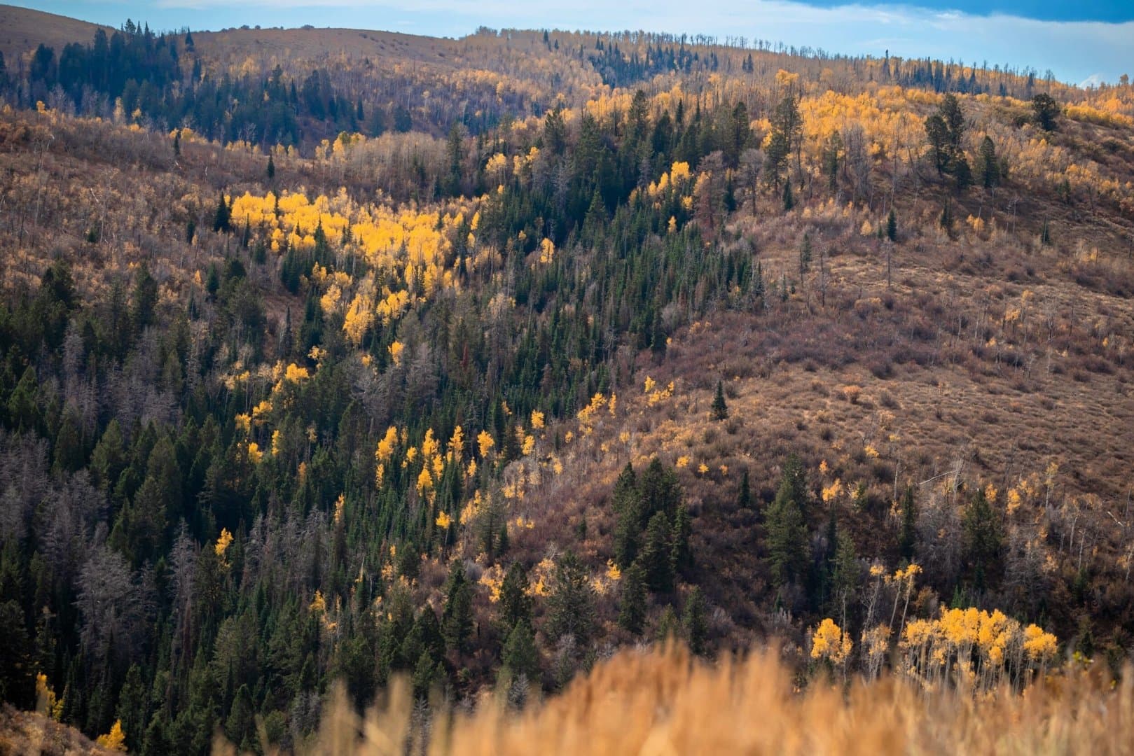 Cow Creek Ranch in Rifle, Colorado - photo 21