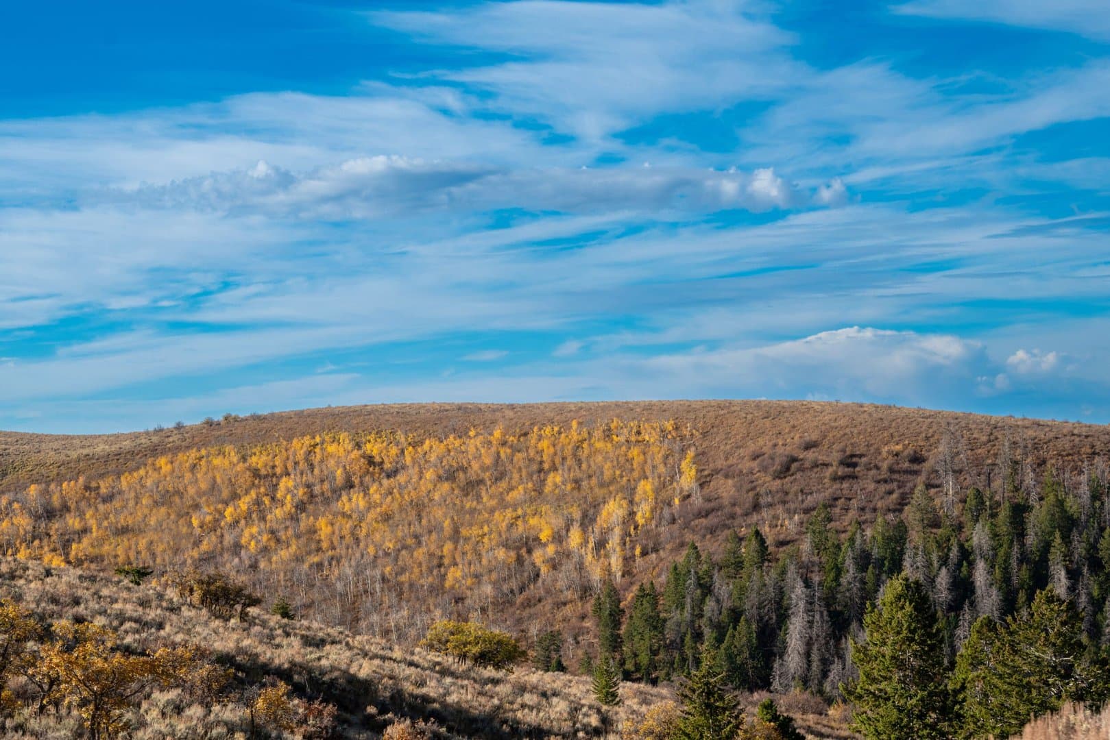 Cow Creek Ranch in Rifle, Colorado - photo 22