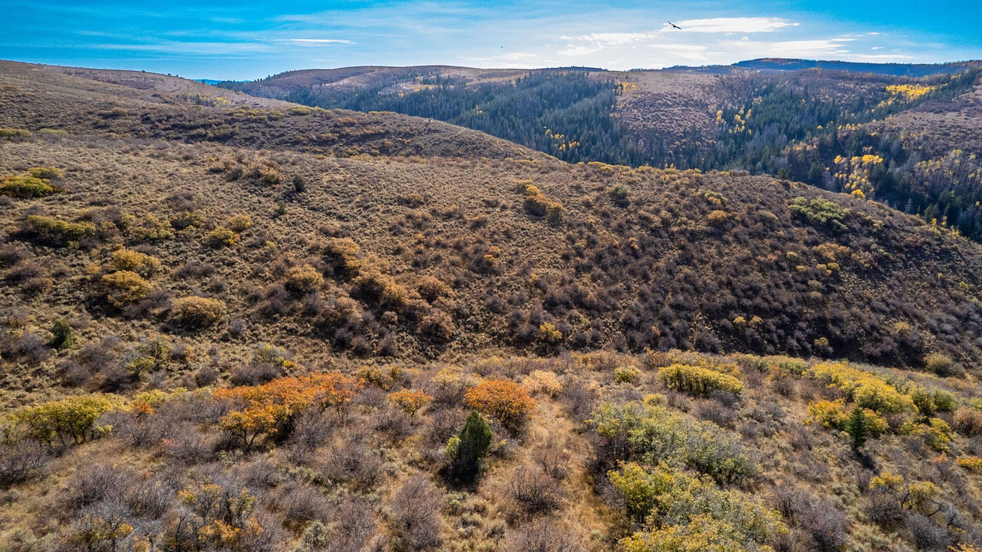 Cow Creek Ranch in Rifle, Colorado - photo 23