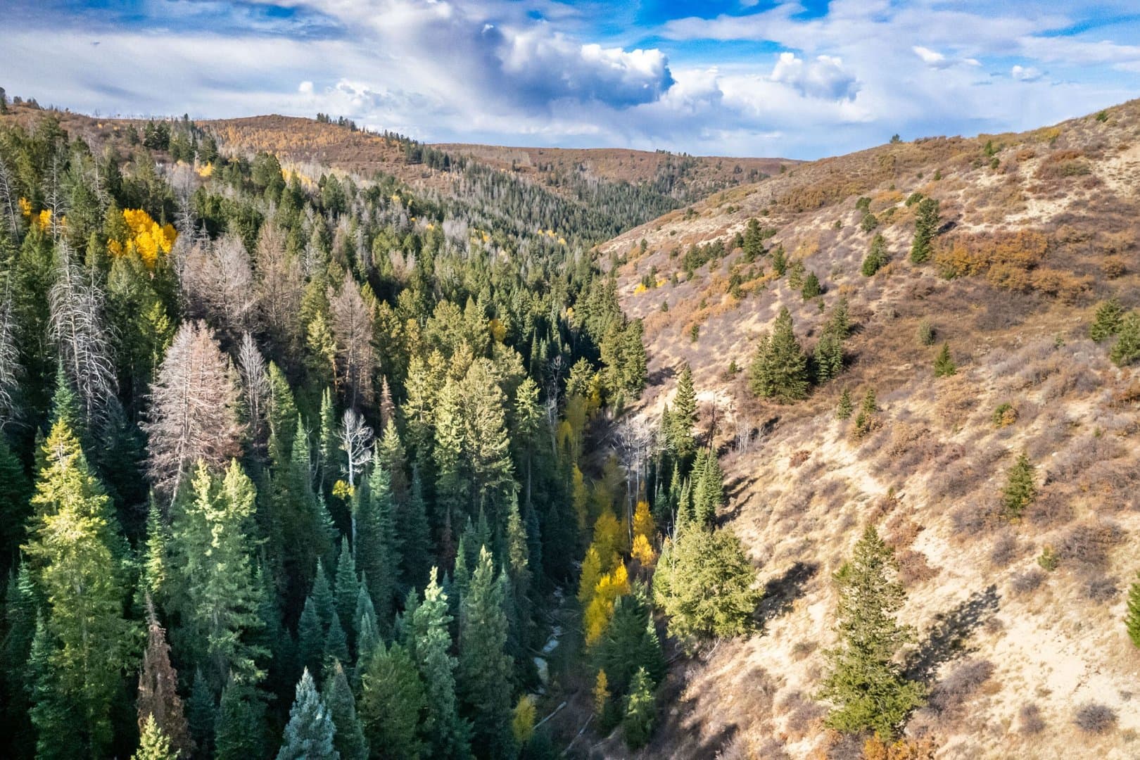 Cow Creek Ranch in Rifle, Colorado - photo 24