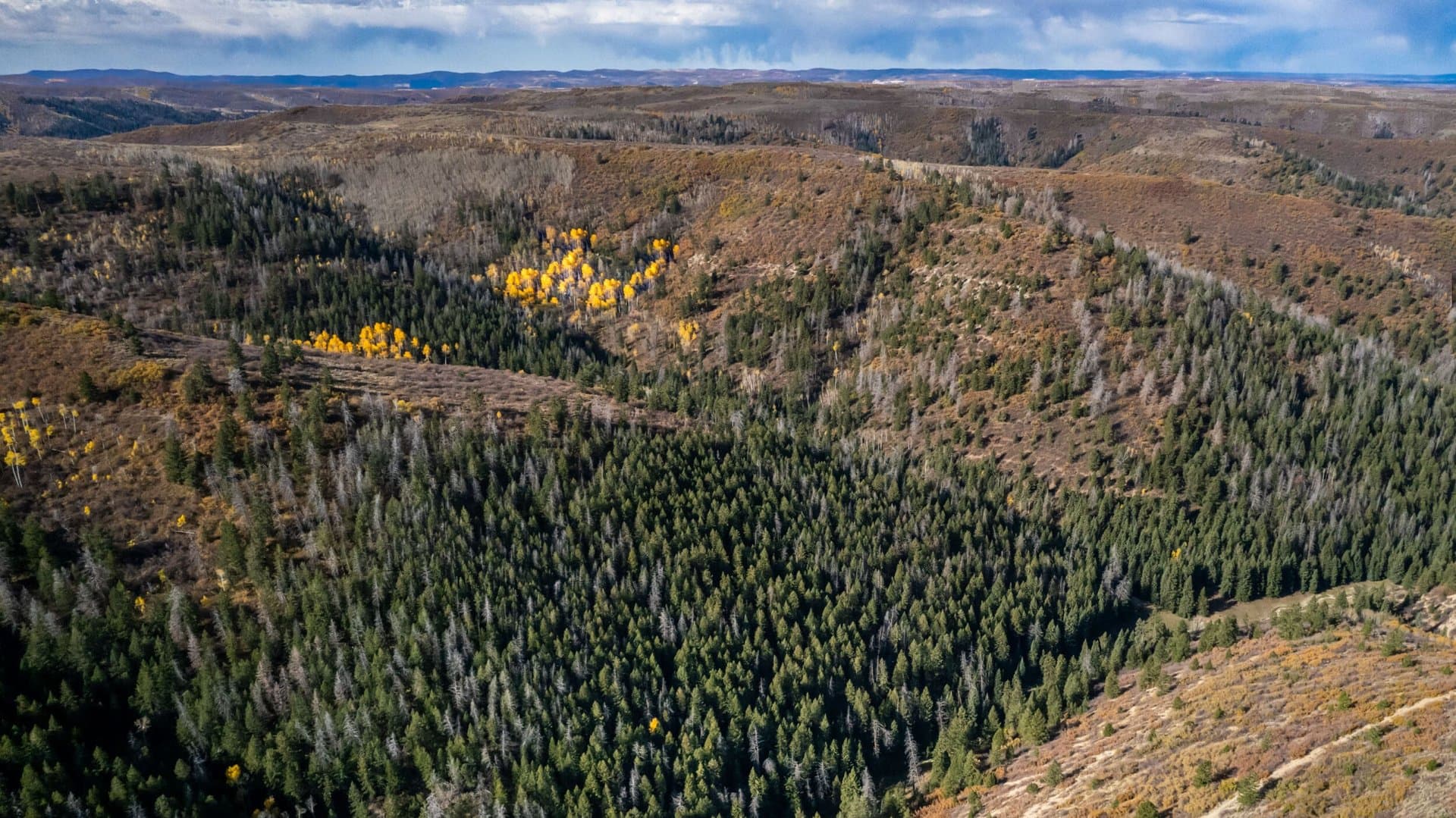 Cow Creek Ranch in Rifle, Colorado - photo 25