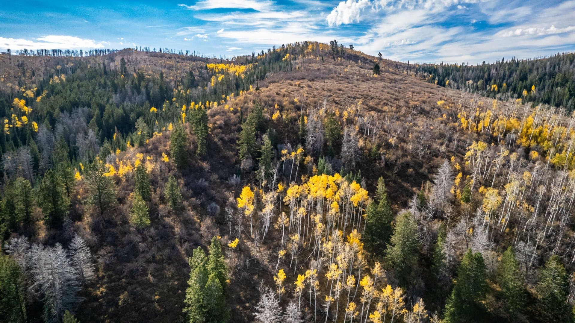 Cow Creek Ranch in Rifle, Colorado - photo 26