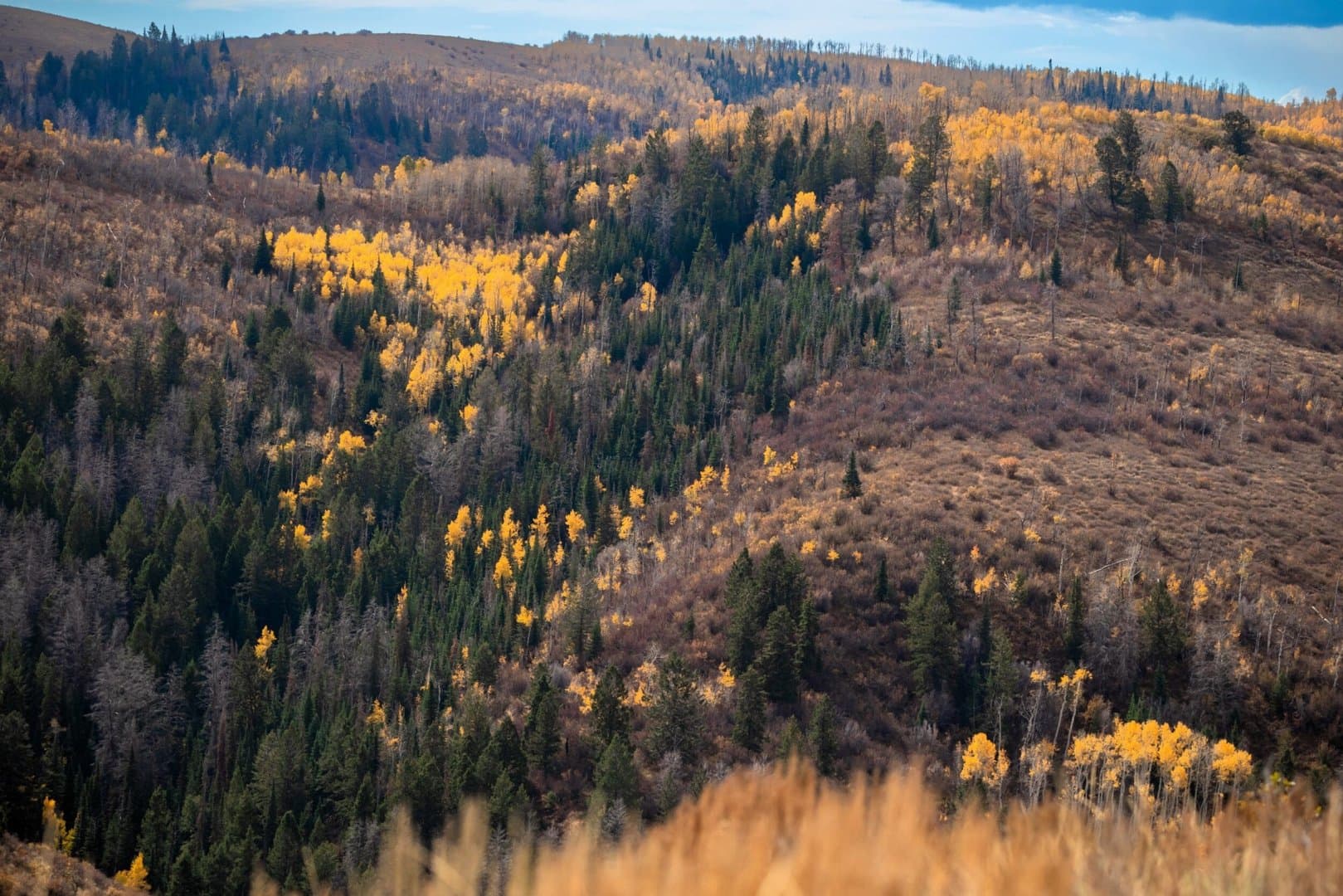 Cow Creek Ranch in Rifle, Colorado - photo 27