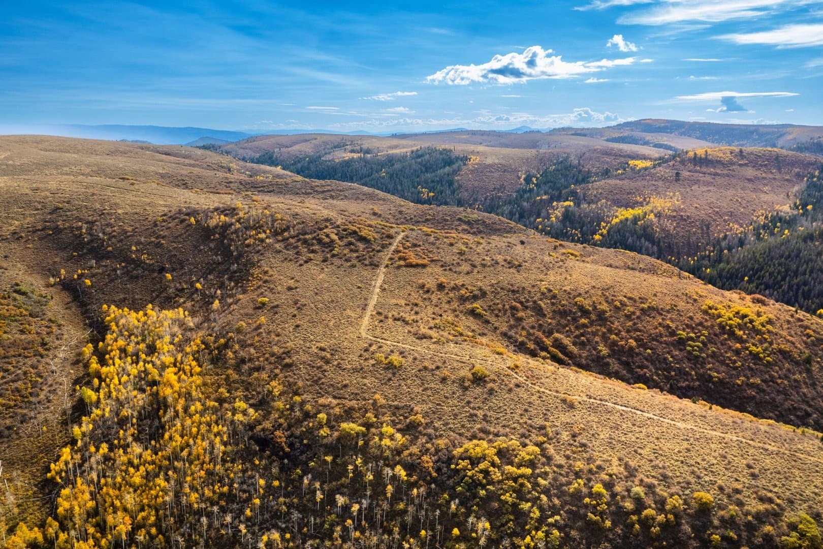 Cow Creek Ranch in Rifle, Colorado - photo 28