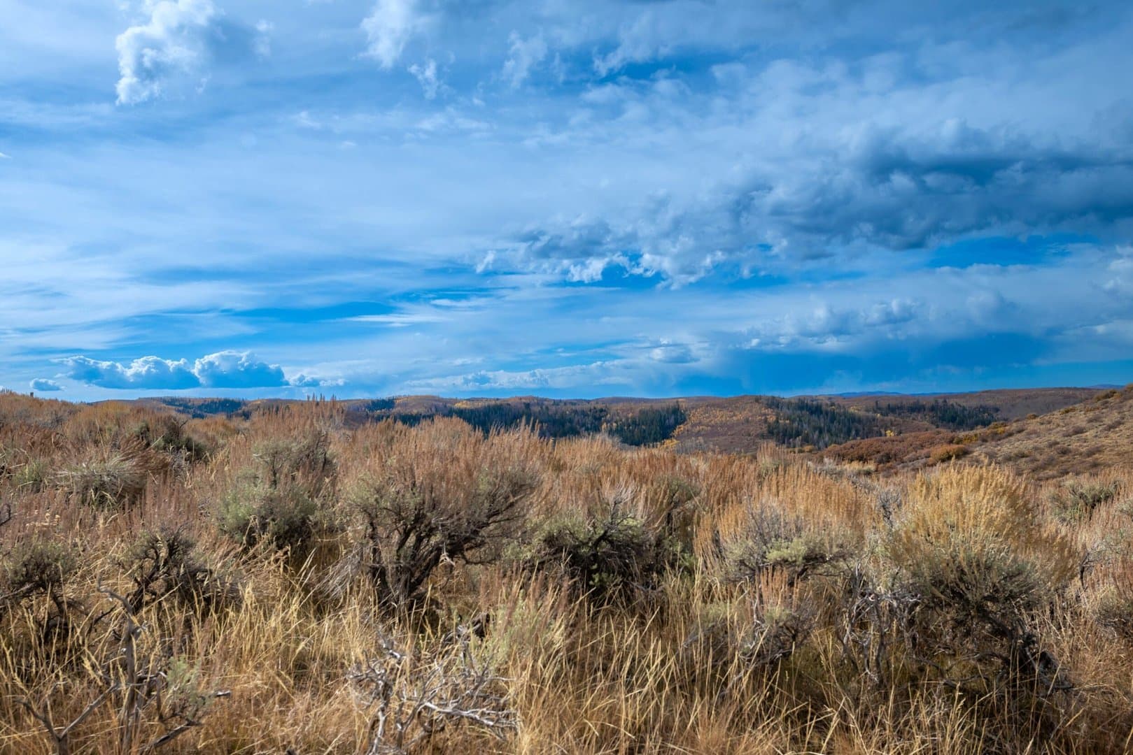 Cow Creek Ranch in Rifle, Colorado - photo 29