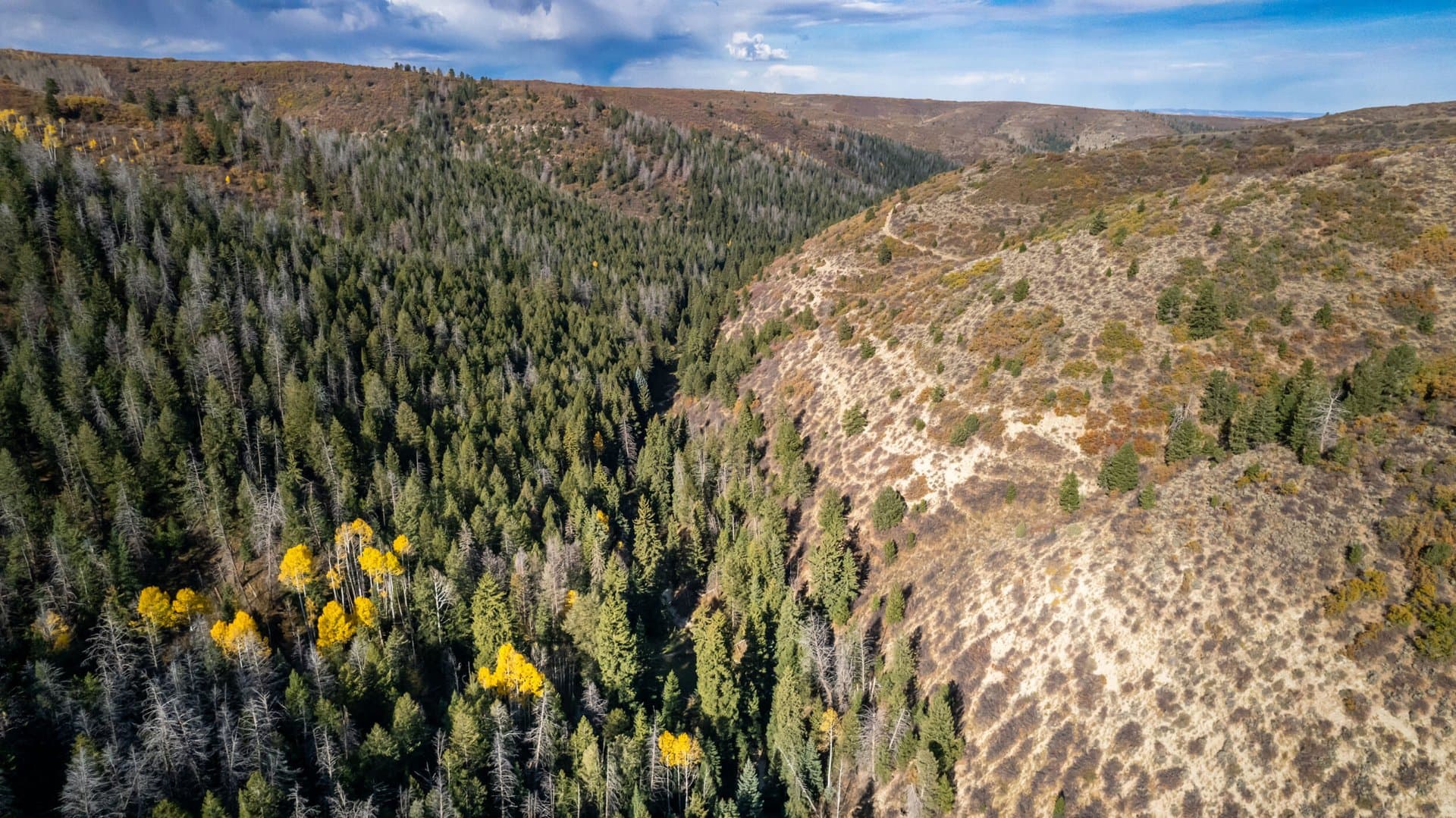 Cow Creek Ranch in Rifle, Colorado - photo 30