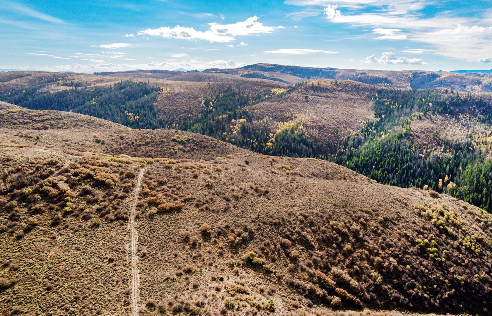 Cow Creek Ranch in Rifle, Colorado - photo 31
