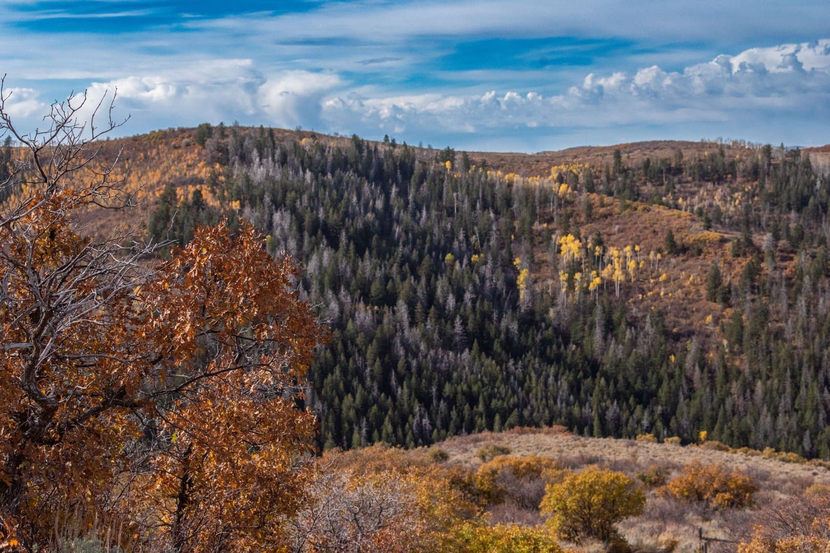 Cow Creek Ranch in Rifle, Colorado - photo 32