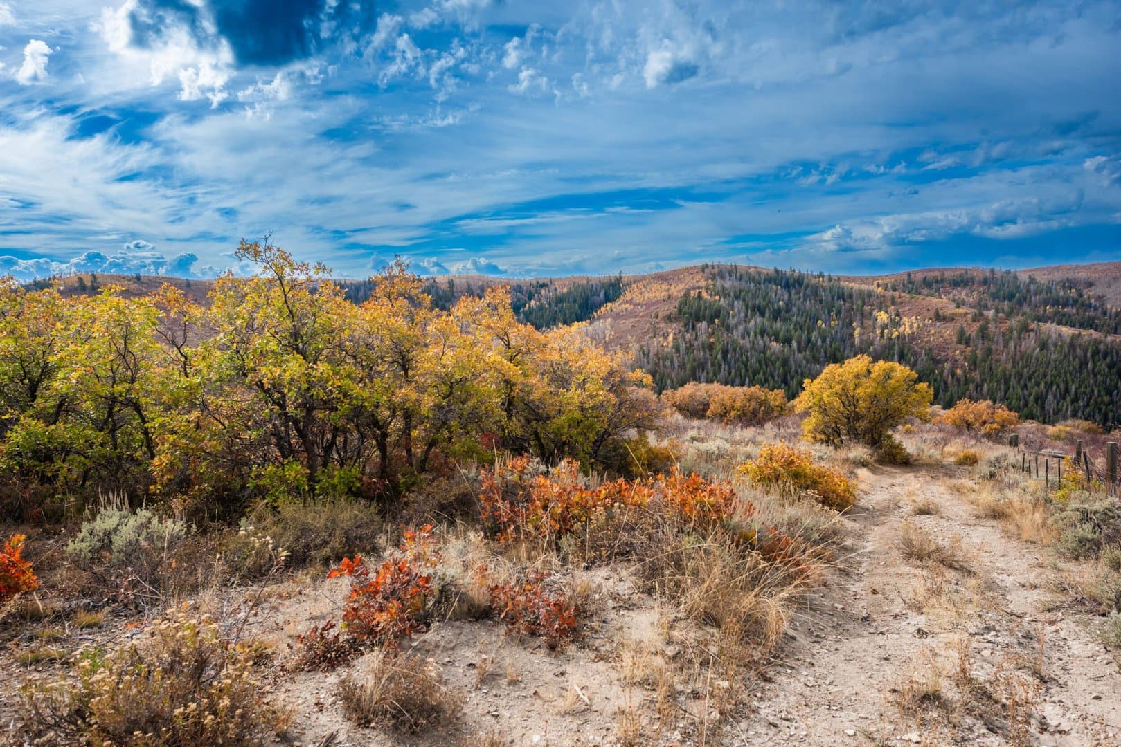 Cow Creek Ranch in Rifle, Colorado - photo 33