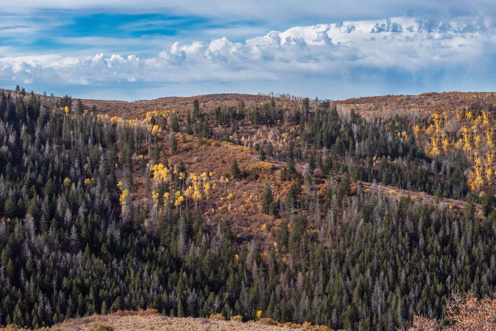 Cow Creek Ranch in Rifle, Colorado - photo 35