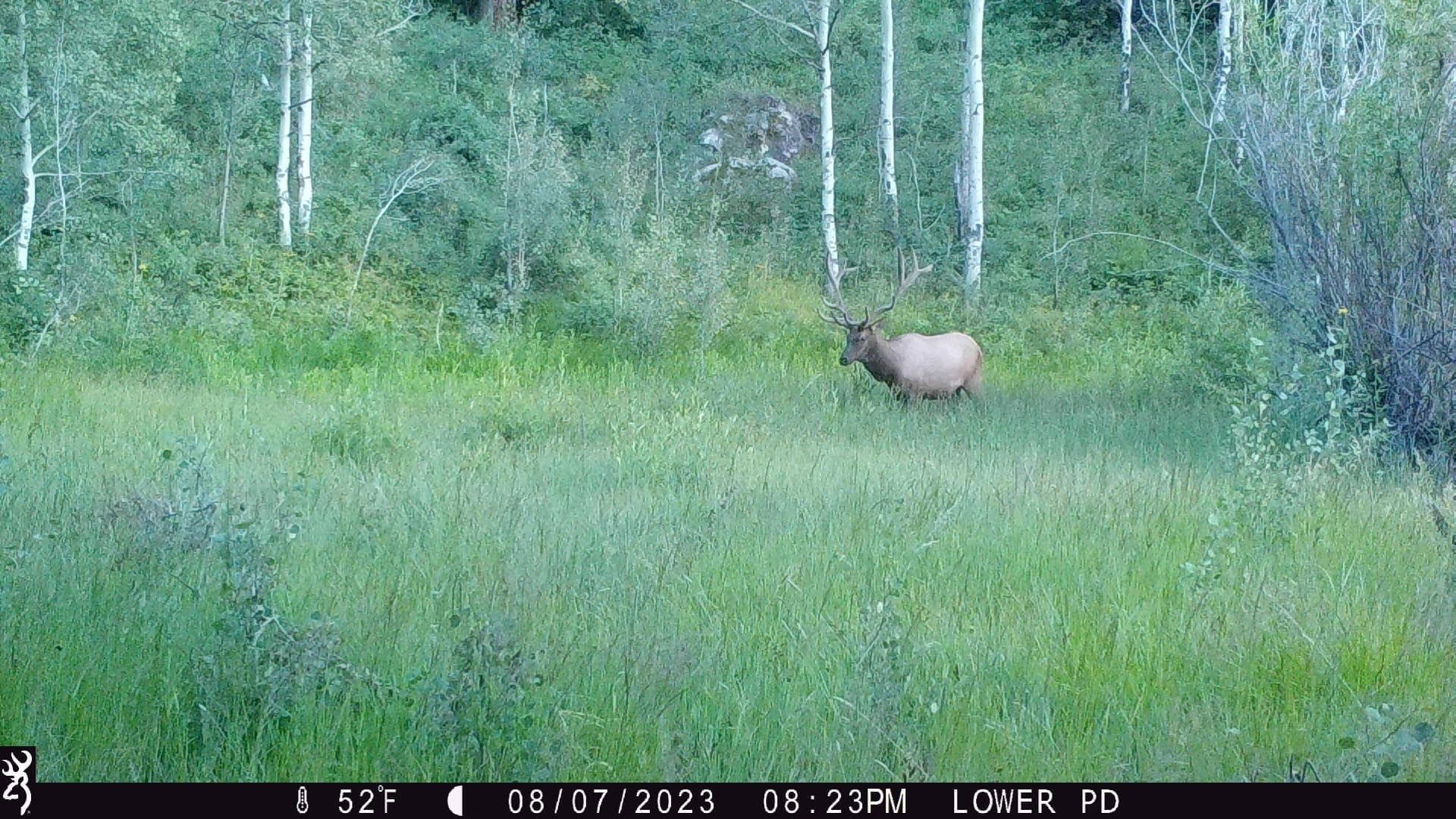 Cow Creek Ranch in Rifle, Colorado - photo 36