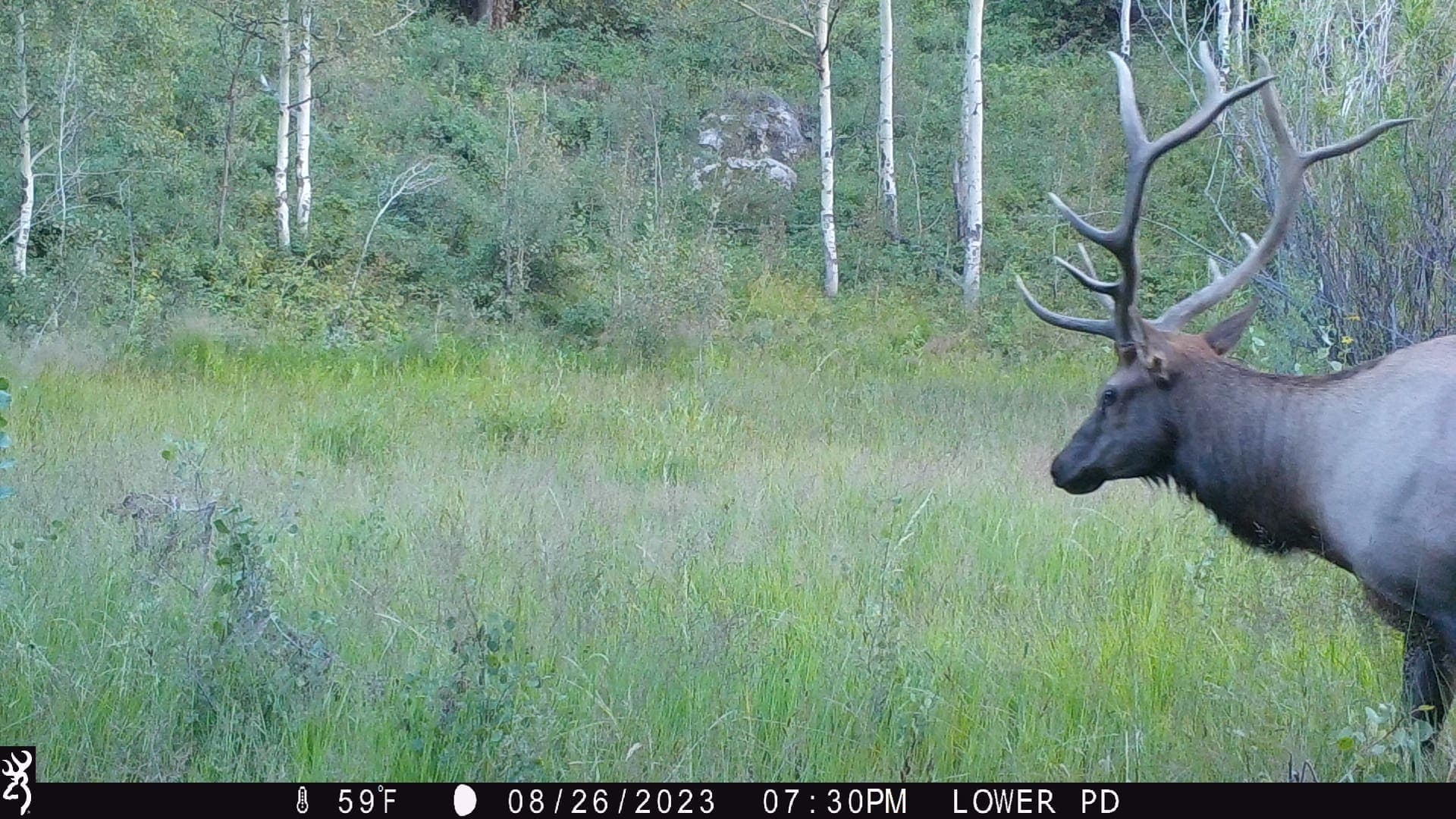 Cow Creek Ranch in Rifle, Colorado - photo 37