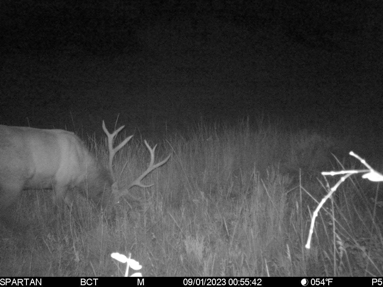 Cow Creek Ranch in Rifle, Colorado - photo 39