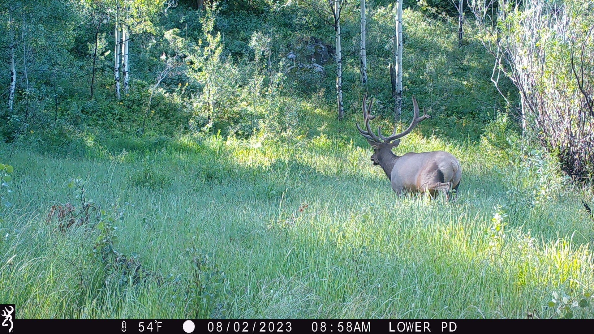 Cow Creek Ranch in Rifle, Colorado - photo 40
