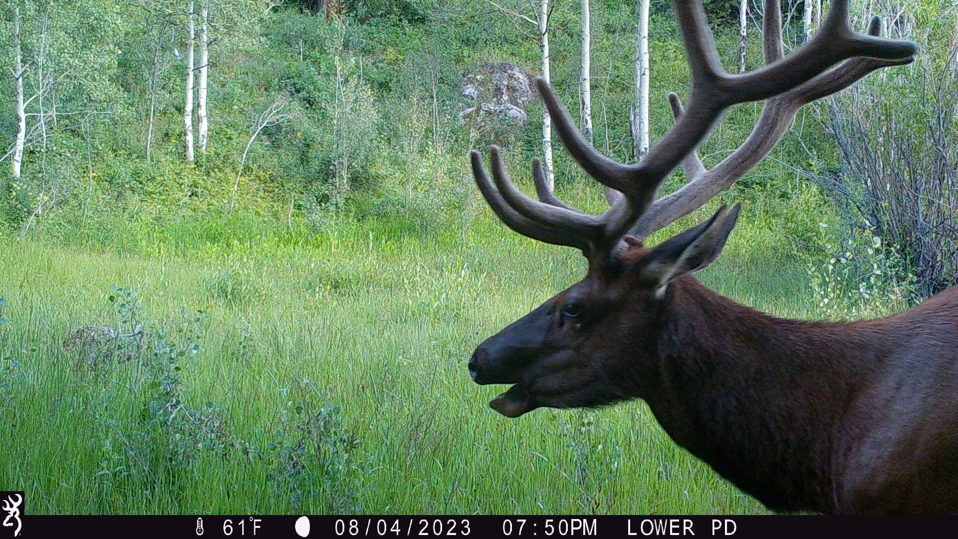 Cow Creek Ranch in Rifle, Colorado - photo 41