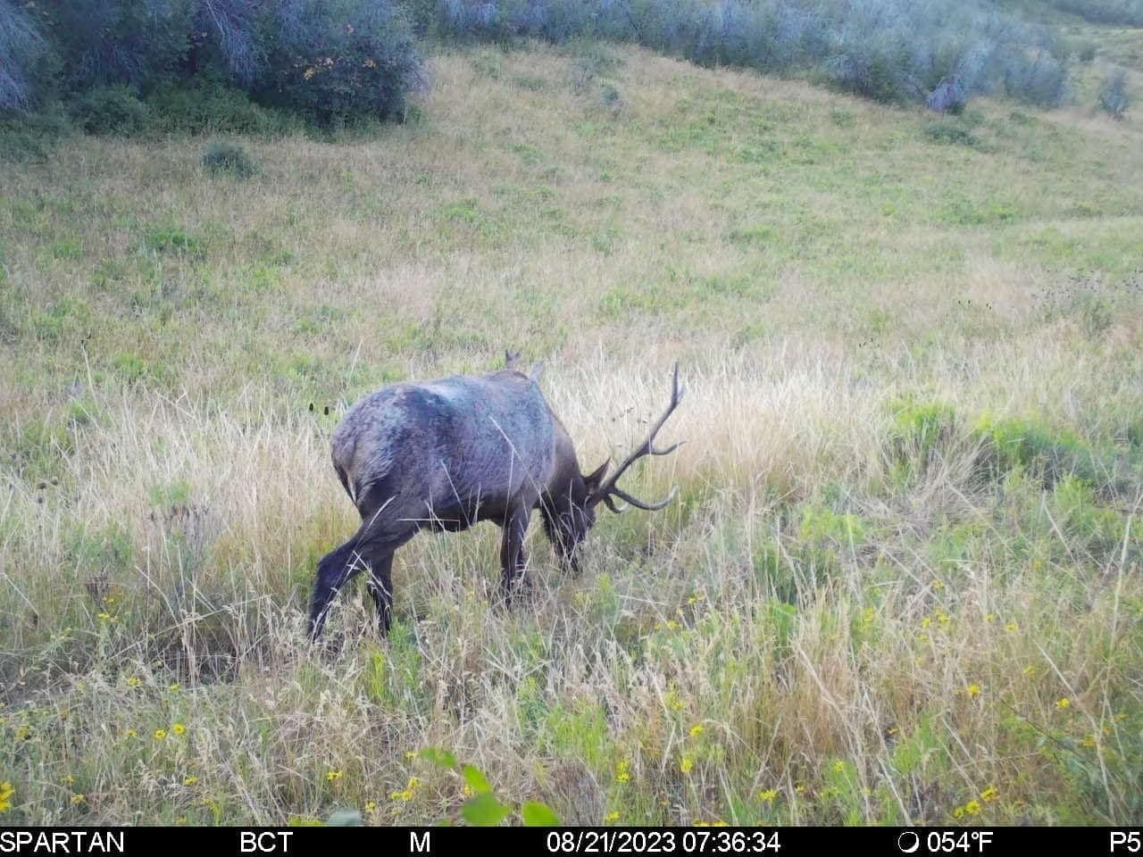 Cow Creek Ranch in Rifle, Colorado - photo 43