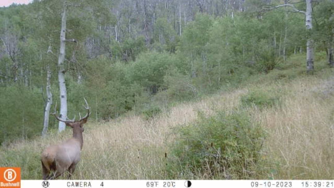 Cow Creek Ranch in Rifle, Colorado - photo 44