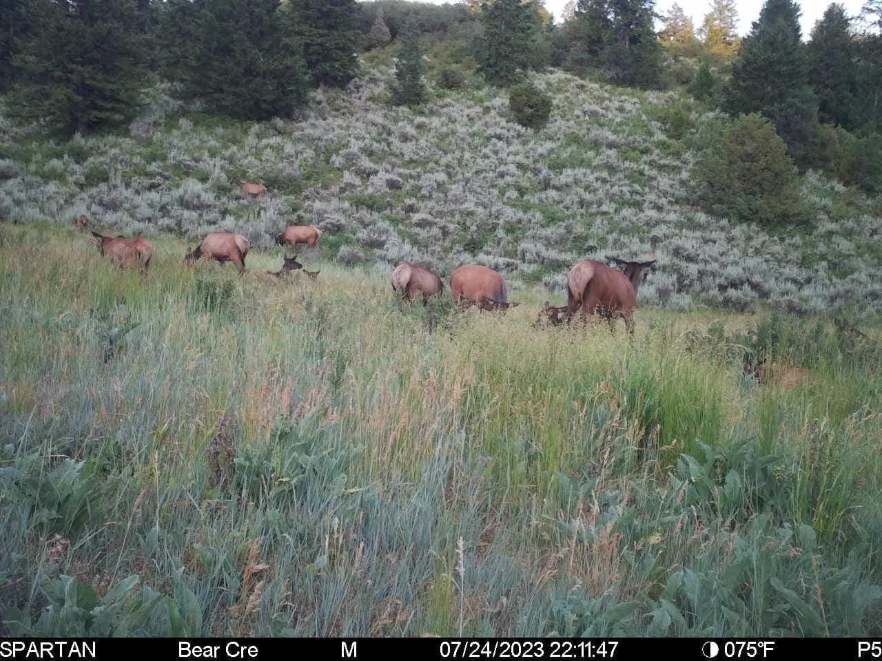 Cow Creek Ranch in Rifle, Colorado - photo 45