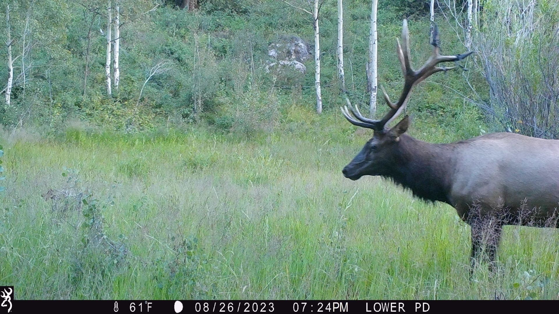Cow Creek Ranch in Rifle, Colorado - photo 46