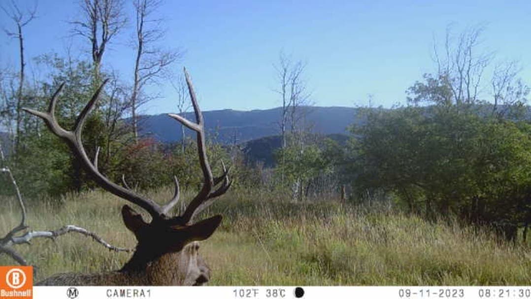 Cow Creek Ranch in Rifle, Colorado - photo 47