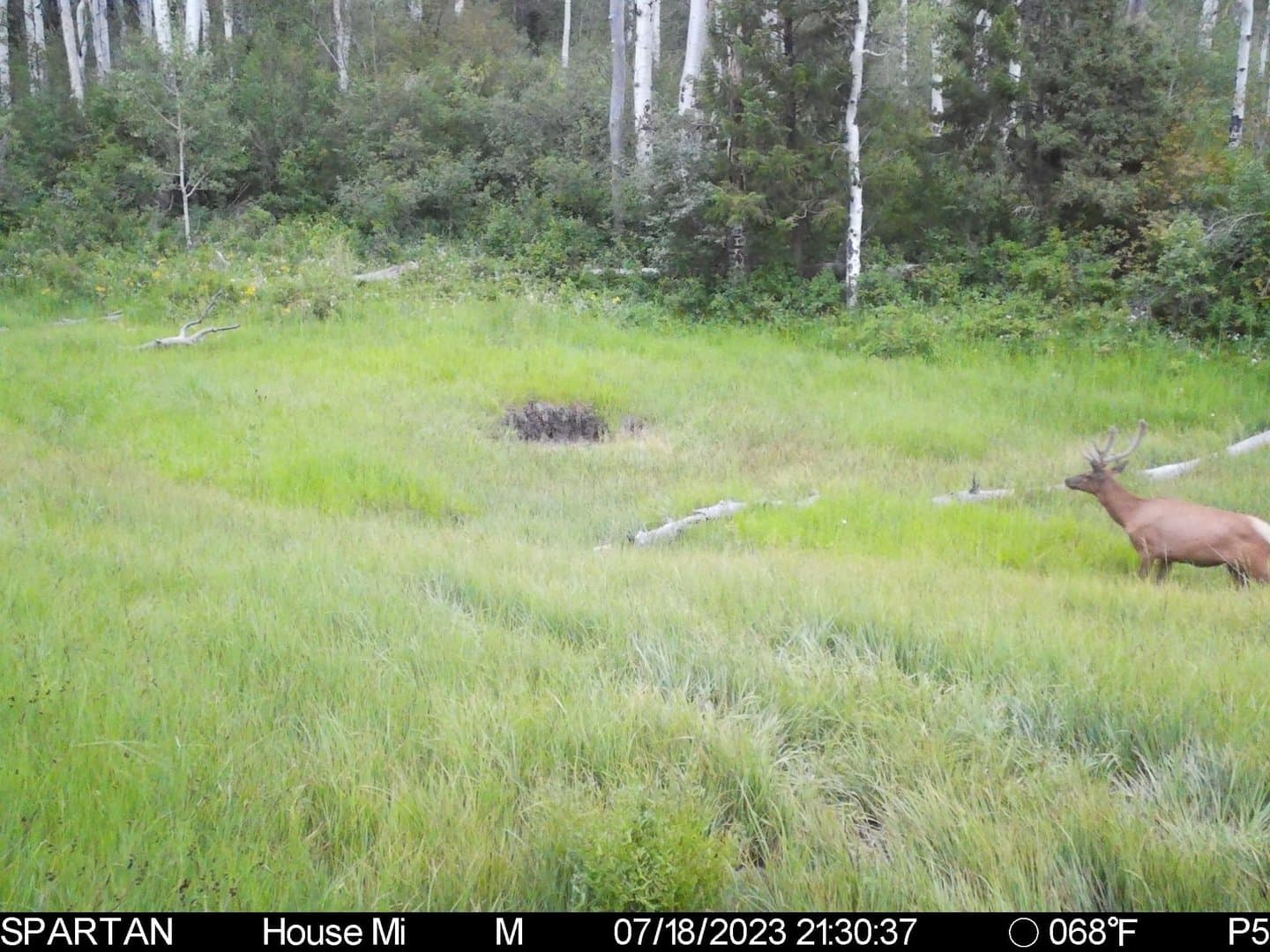 Cow Creek Ranch in Rifle, Colorado - photo 48