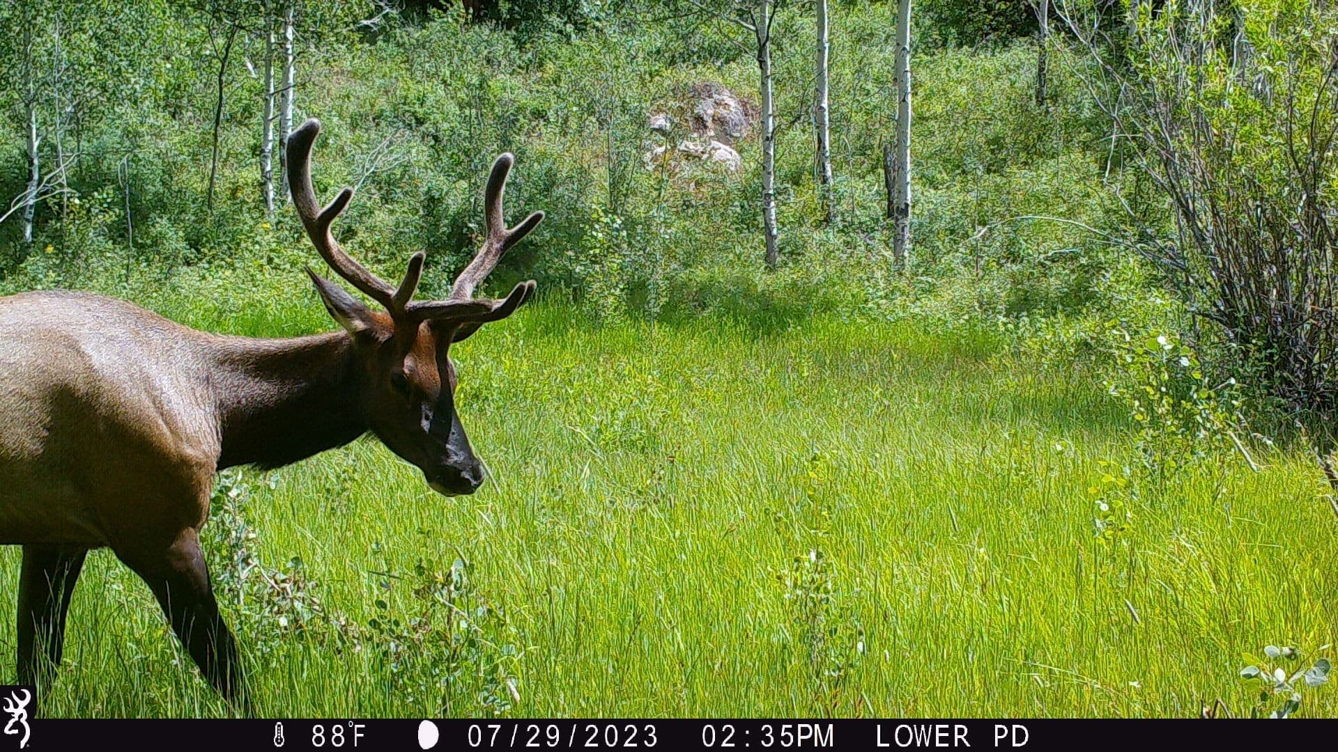 Cow Creek Ranch in Rifle, Colorado - photo 49