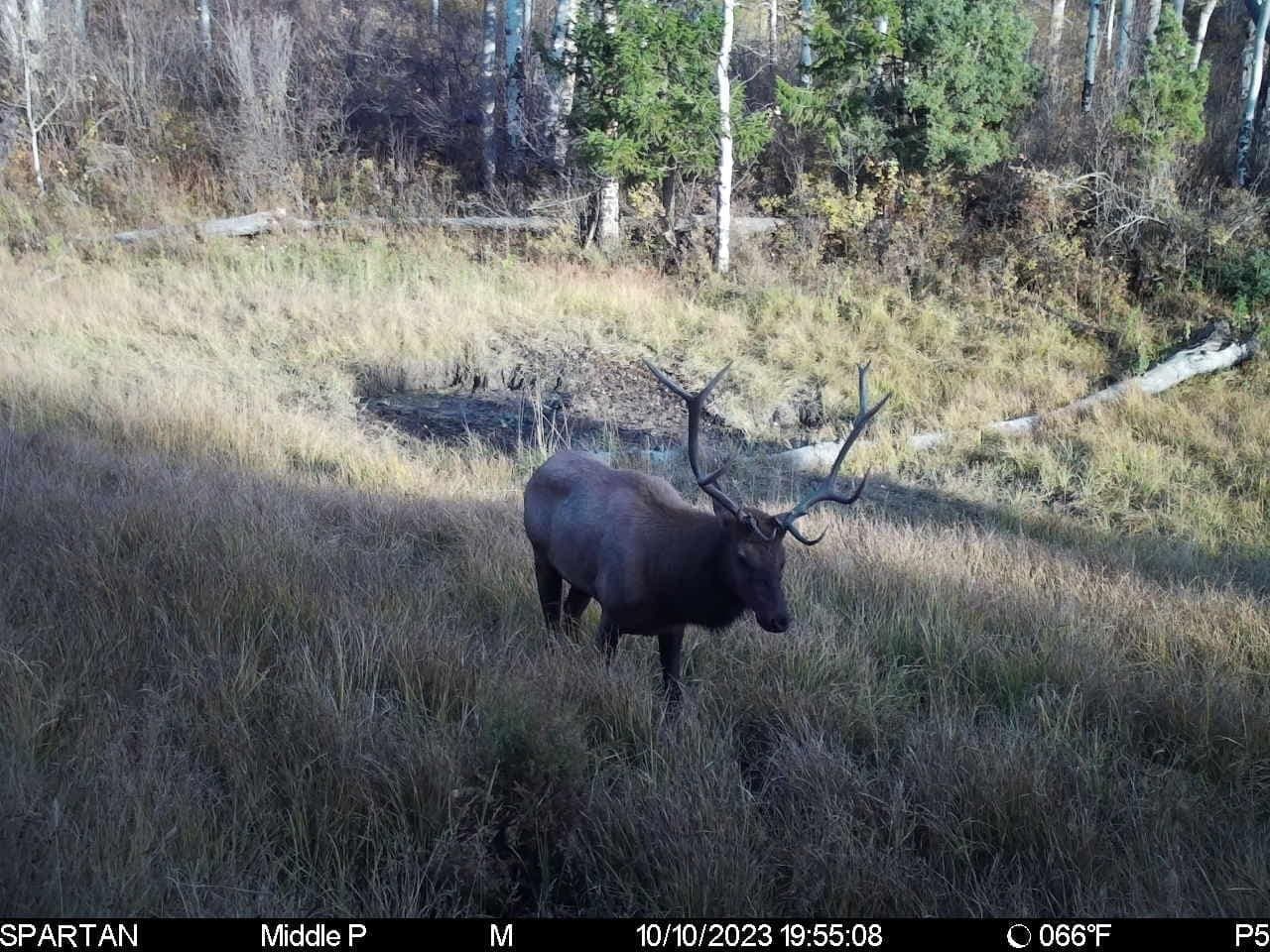 Cow Creek Ranch in Rifle, Colorado - photo 51