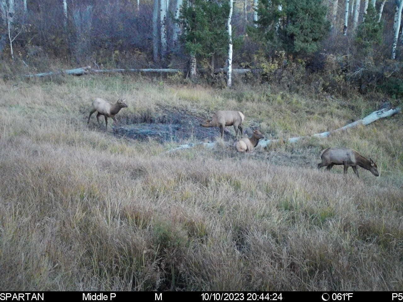 Cow Creek Ranch in Rifle, Colorado - photo 52