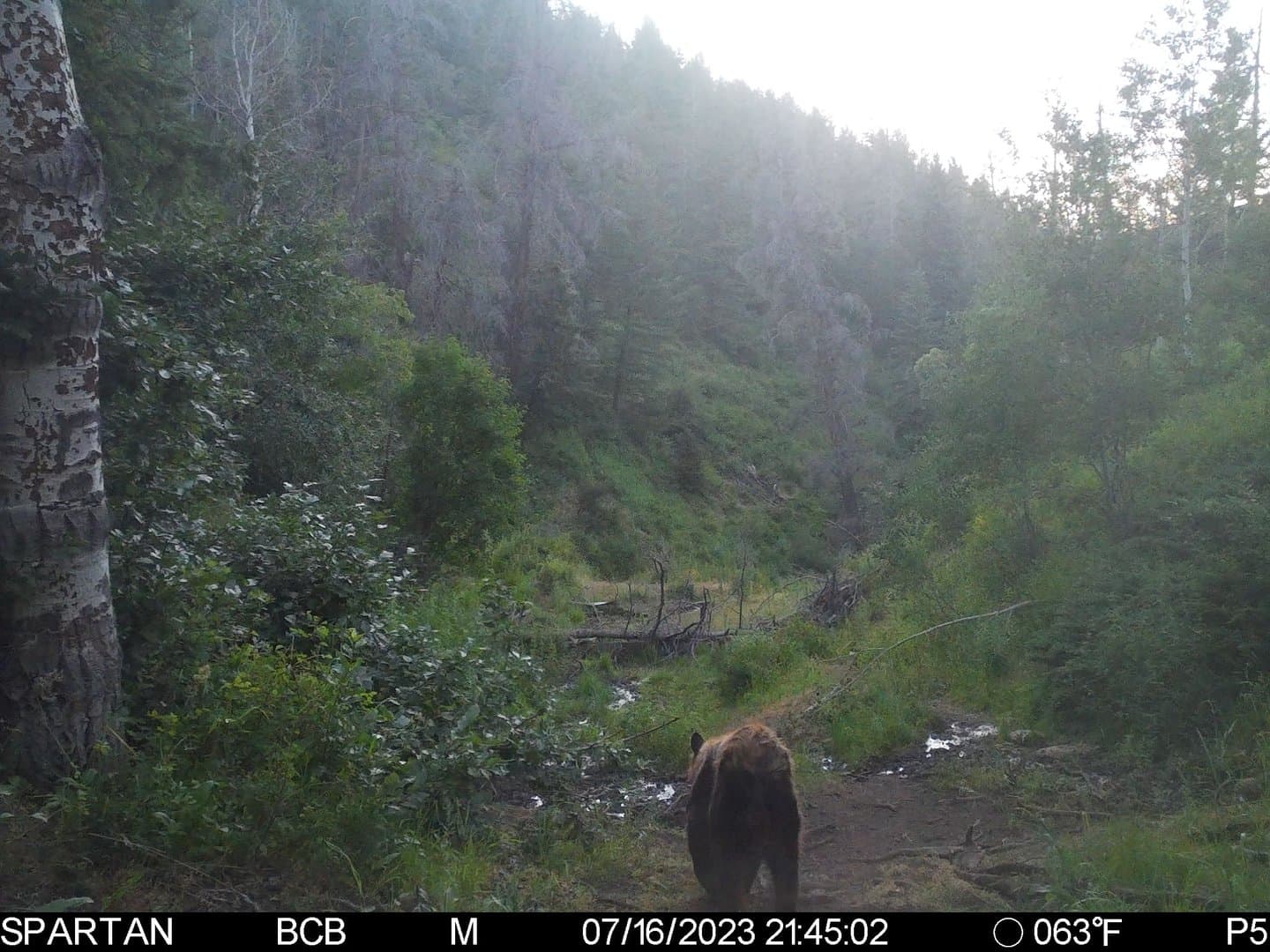 Cow Creek Ranch in Rifle, Colorado - photo 53