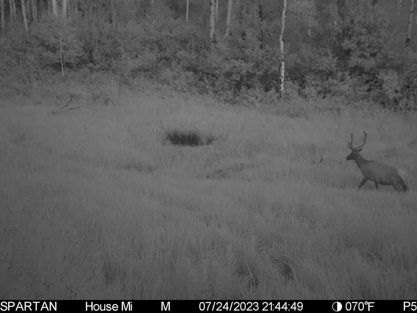 Cow Creek Ranch in Rifle, Colorado - photo 54