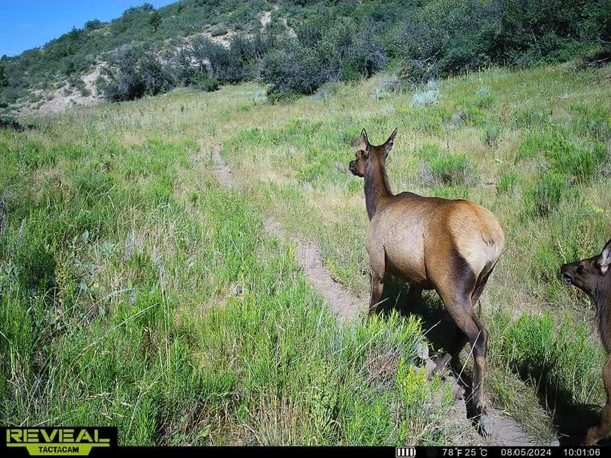 Cow Creek Ranch in Rifle, Colorado - photo 56