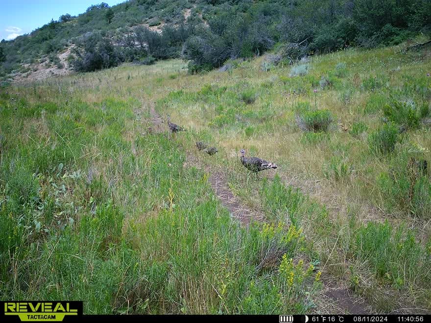 Cow Creek Ranch in Rifle, Colorado - photo 58