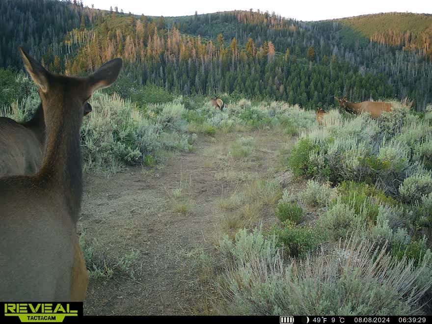 Cow Creek Ranch in Rifle, Colorado - photo 60