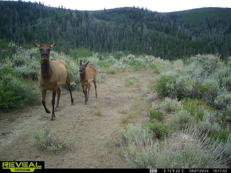 Cow Creek Ranch in Rifle, Colorado - photo 61